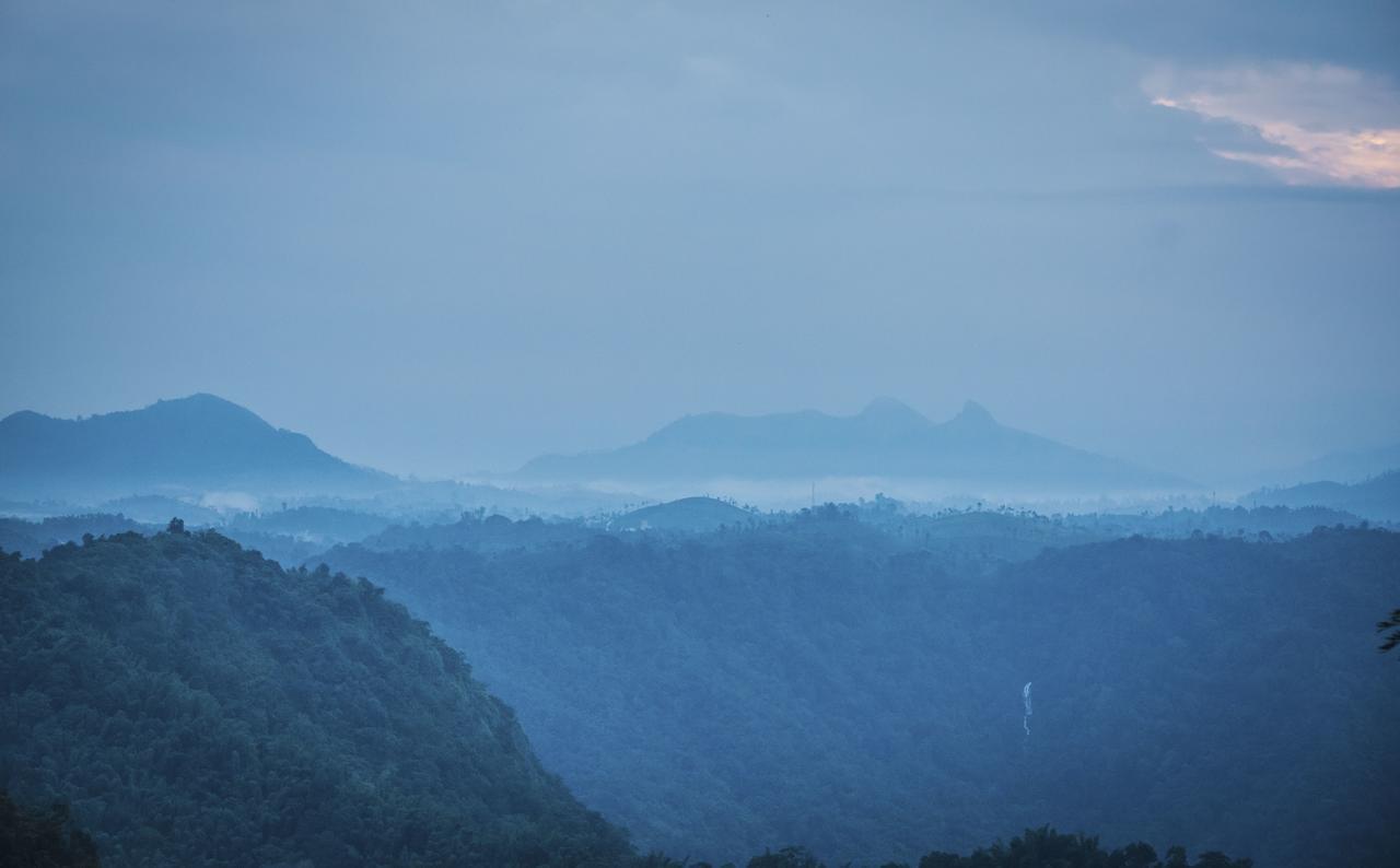 After The Rains - Rainforest Lodge Meppādi Exteriör bild