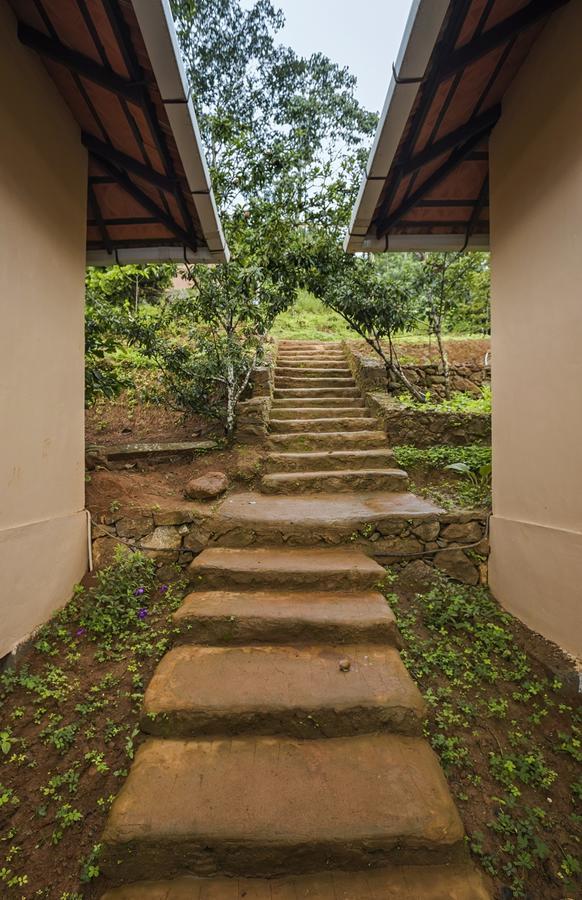 After The Rains - Rainforest Lodge Meppādi Exteriör bild